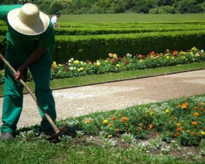 Jardineiro - Realizar manutenção e revitalização de Jardins - Rio de Janeiro 