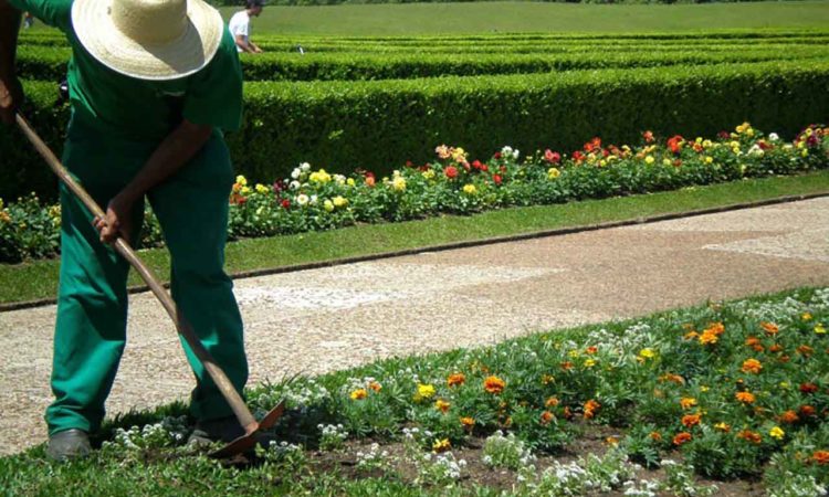 Jardineiro - Realizar manutenção e revitalização de Jardins - Rio de Janeiro 