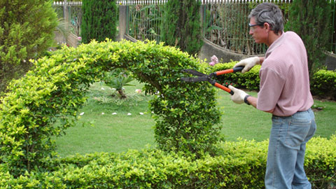 Jardineiro - Execução de obras de paisagismo - Rio de Janeiro 
