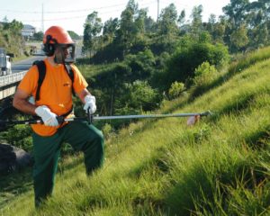 Operador de Roçadeira, Auxiliar de Cozinha - R$ 1.300,00 - Limpar os equipamentos utilizados, ter proatividade - Rio de Janeiro 