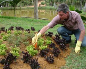 Assistência de Condomínio, Auxiliar de Jardinagem - R$ 1.362,78 - Ter proatividade, atuar na manutenção de jardins - Rio de Janeiro 