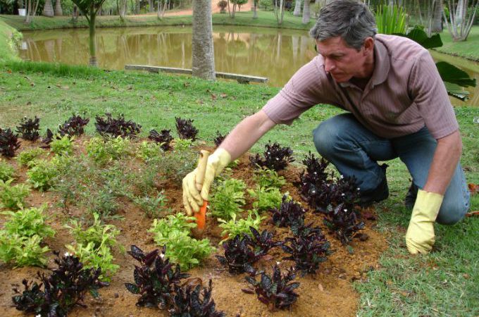 Assistência de Condomínio, Auxiliar de Jardinagem - R$ 1.362,78 - Ter proatividade, atuar na manutenção de jardins - Rio de Janeiro 