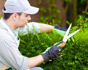 Técnico de Eletrônica, Auxiliar de Jardinagem - R$ 1.477,11 - Ter disponibilidade de horário, atuar em escalas - Rio de Janeiro 