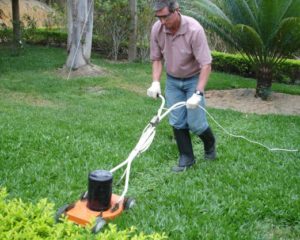 Auxiliar de Jardinagem, Subgerente de Loja - R$ 1.400,00 - Conhecimentos em paisagismo, ter proatividade - Rio de Janeiro 