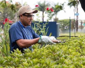 Auxiliar de Jardinagem, Torneiro Mecânico - R$ 1.100,00 - Ser dinâmico, ter conhecimentos em paisagismo - Rio de Janeiro 