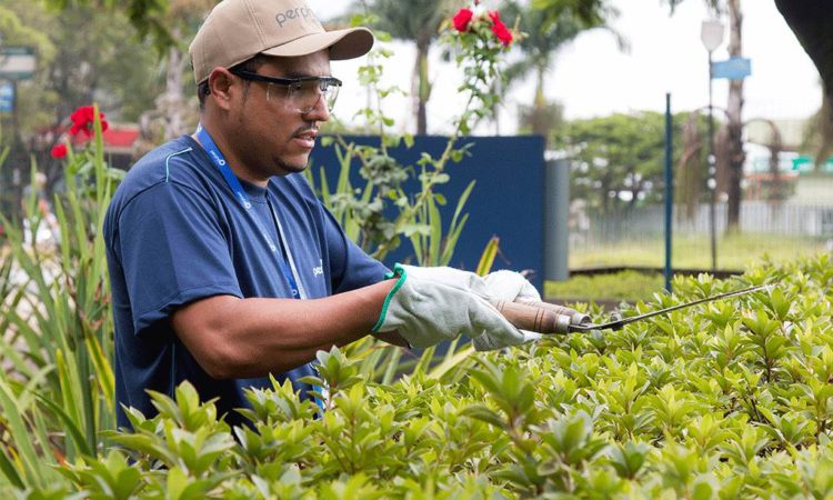 Auxiliar de Jardinagem, Torneiro Mecânico - R$ 1.100,00 - Ser dinâmico, ter conhecimentos em paisagismo - Rio de Janeiro 